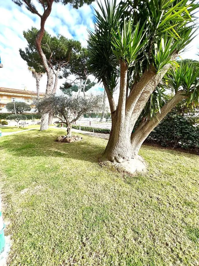 Oriol Center Apartment Platja d'Aro